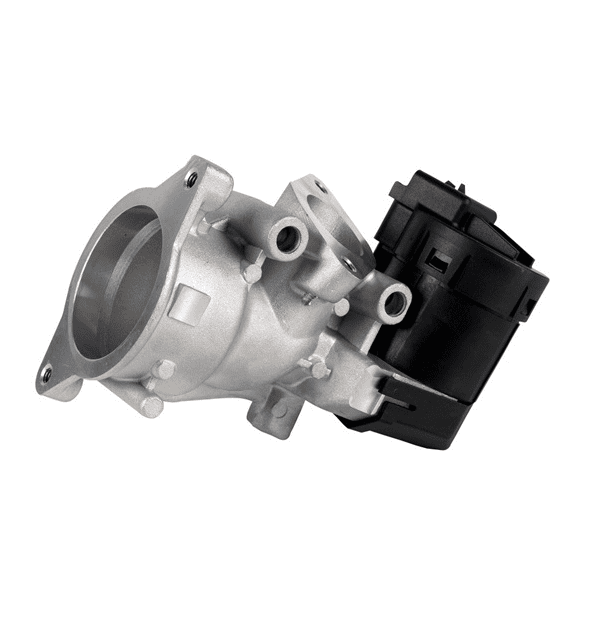 Exhaust gas recirculation valves