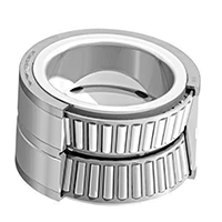 Double Row Cylindrical Roller Bearings