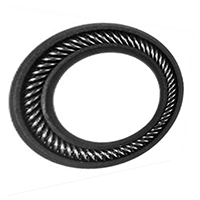 Spring Energized Seals