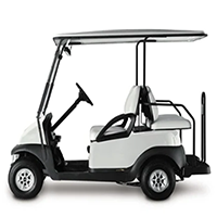 Electric Golf Cart
