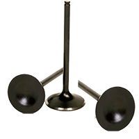 Two wheeler Engine Valve