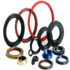 Oil Seals