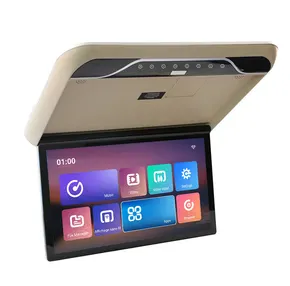 Car Roof Monitor