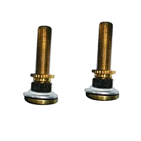 Inner Tube Valve